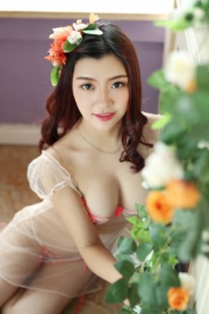 你好赛先生第二季