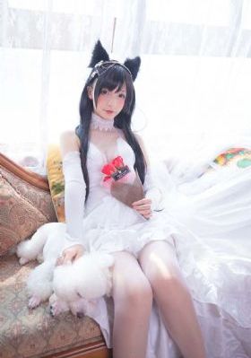 小鼠和大象的创意